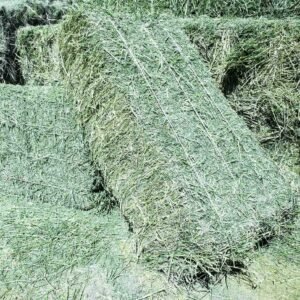 Alfalfa Hay For Sale
