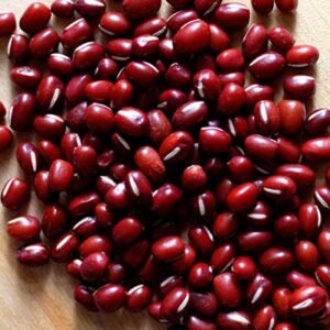 Adzuki Beans