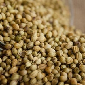 Coriander Seeds