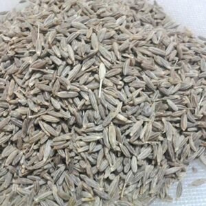 Cumin Seeds
