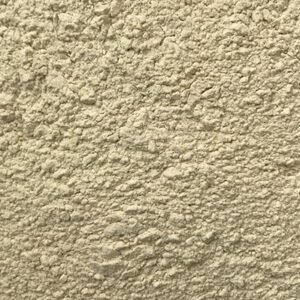 Dehydrated White Onion Powder