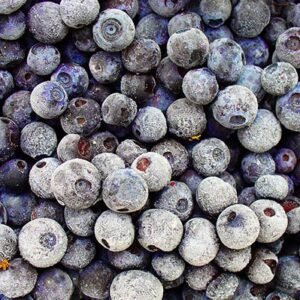 Frozen Blueberry