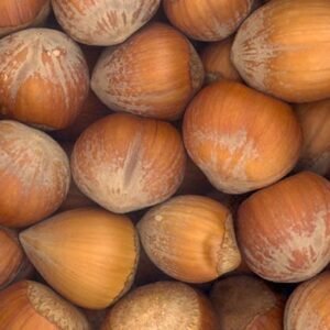 Hazelnuts