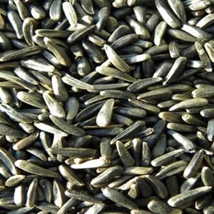 Niger Seeds