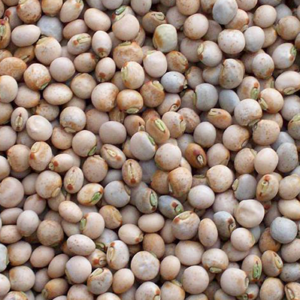 Pigeon Peas Whole