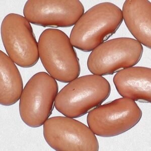 Pink Beans