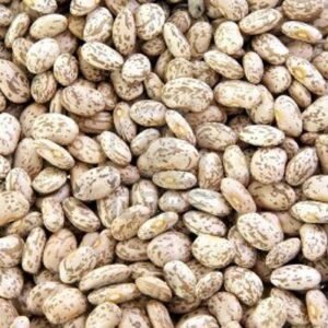 Pinto Beans