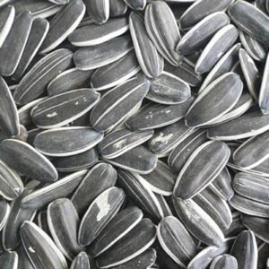 Sunflower Seeds