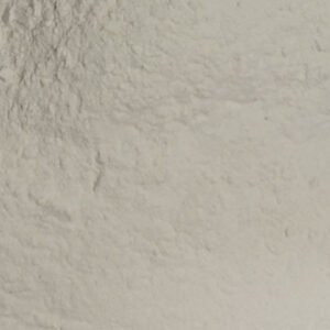 Untoasted defatted soya flour