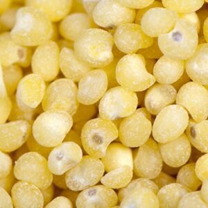 Yellow Millet