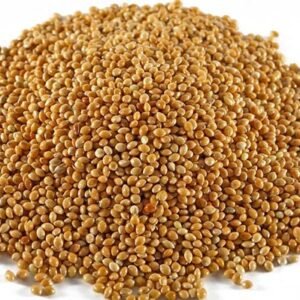 Yellow Mustard Seeds
